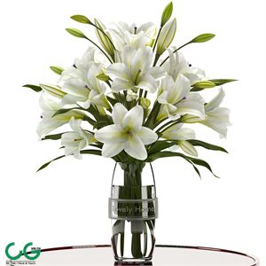 LILY